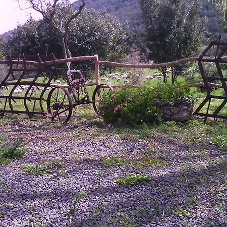 Çiftlik konaklama Cugumia Thiesi