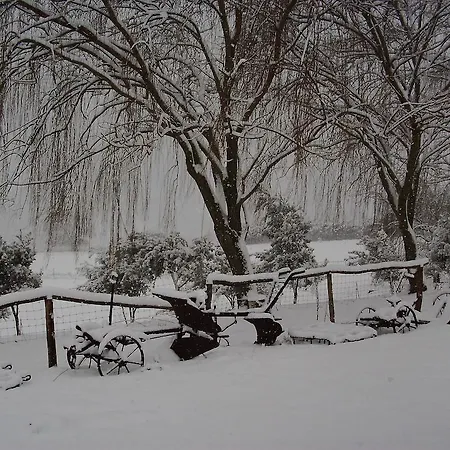 Çiftlik konaklama Cugumia