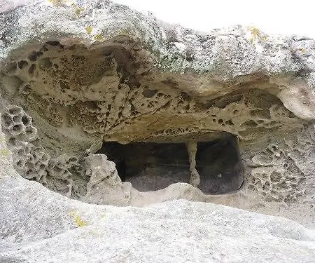 Çiftlik konaklama Cugumia *